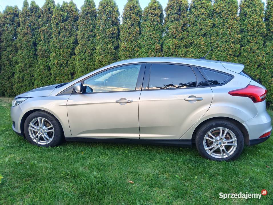 Ford Focus Mk3 wielkopolskie Ślesin