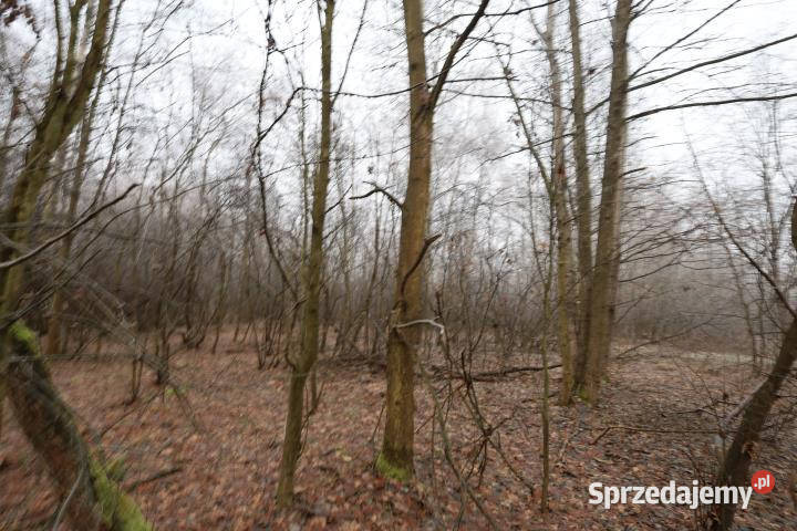 Działka do sprzedania 3300m2 Jodłówka małopolskie sprzedam