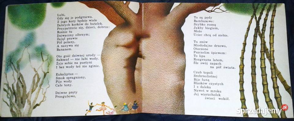 Lato Walancin Łuksza Chełm