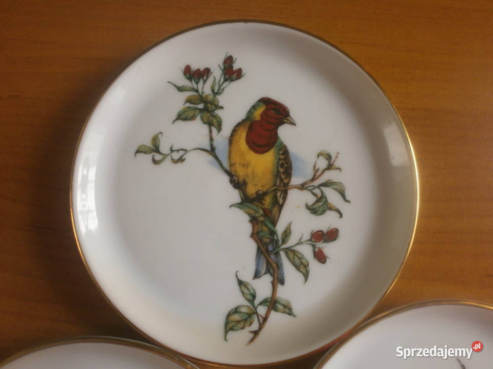 piękne porcelanowe talerzyki z papugami Porcelana i szkło Zielona Góra