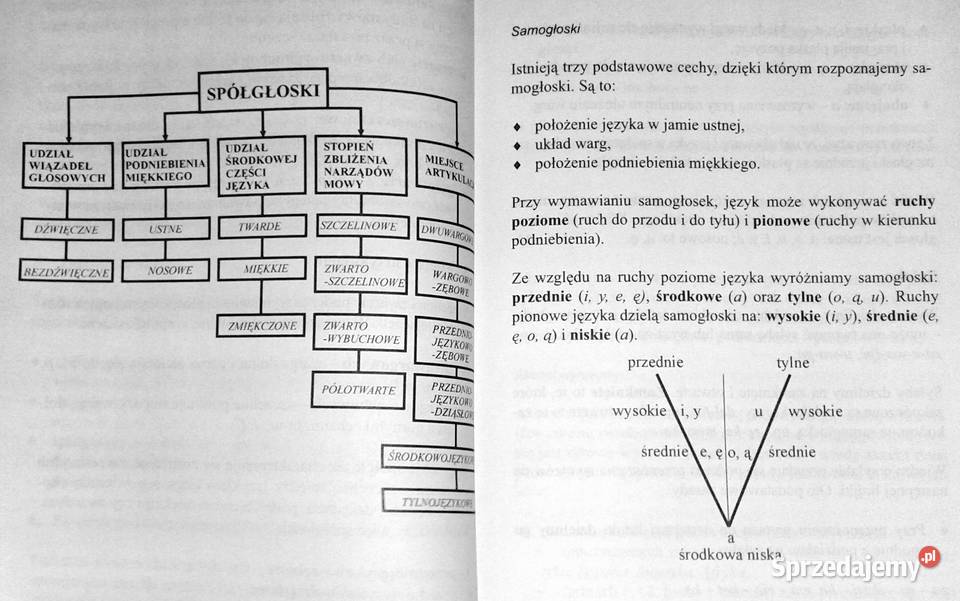 Gramatyka języka polskiego Justyna Rudomina Chełm