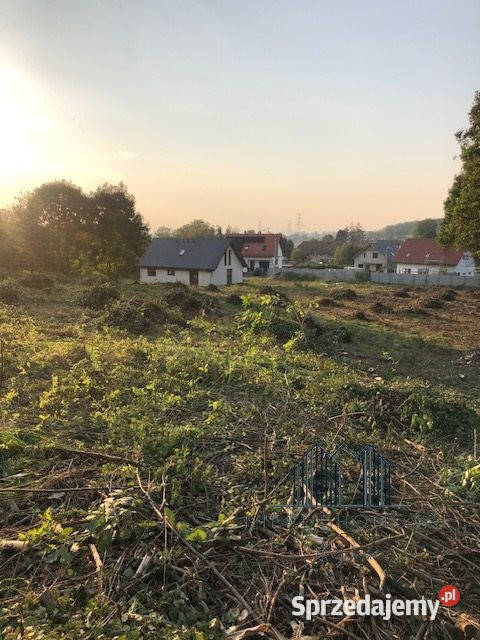 Działka Skrzydlice 5844m2 dolnośląskie sprzedam
