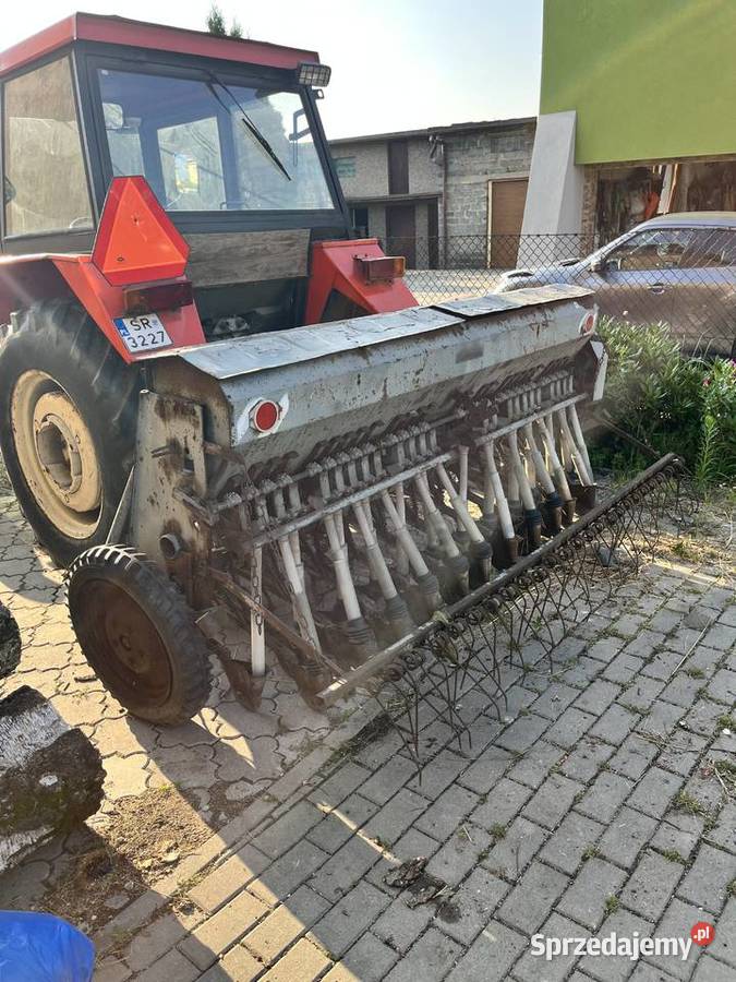 Siewnik poznaniak sprawny Wodzisław Śląski