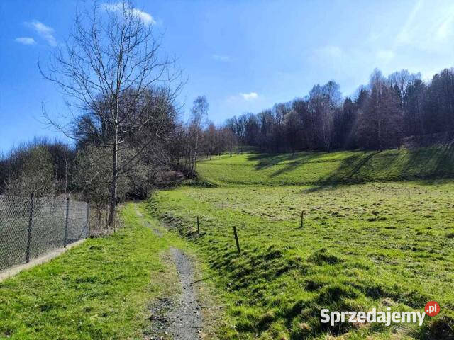 Działka 5305m2 Piechowice sprzedam