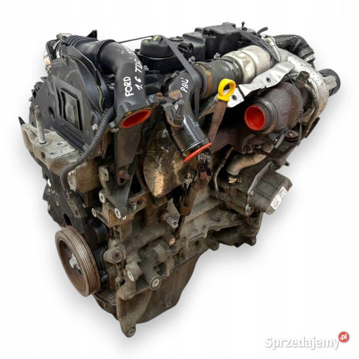 SILNIK TZJB Ford Fiesta VI VII MK7 16 TDCI 95 lubelskie Chełm sprzedam