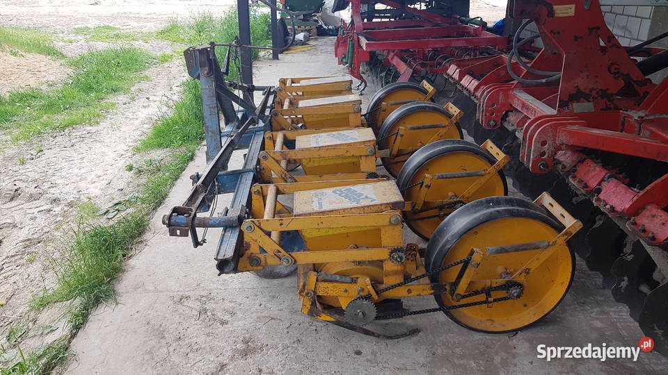 Siewnik do kukurydzy Kleine maxi corn Wisznice