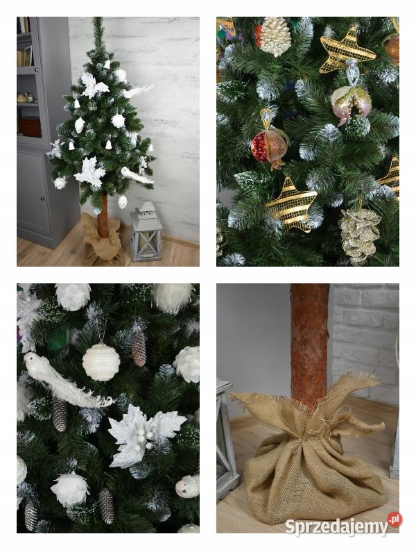 CHOINKA NA STOJAKU 180 SOSNA DIAMENTOWA PIEŃ sprzedam