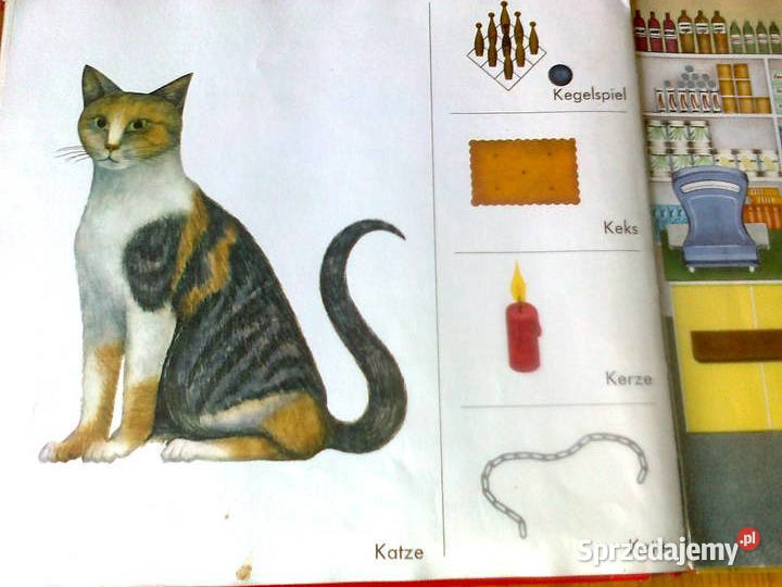 Mein erstes Brockhaus Książki do nauki języka obcego Warszawa