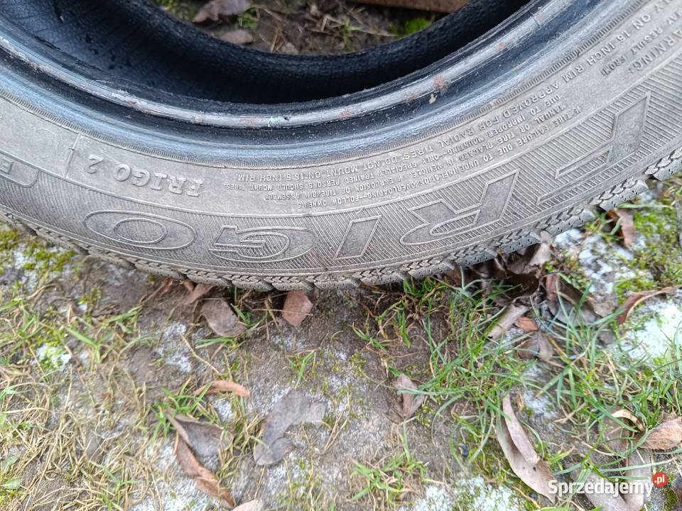 Opona zimowa Dębica 16 Książki