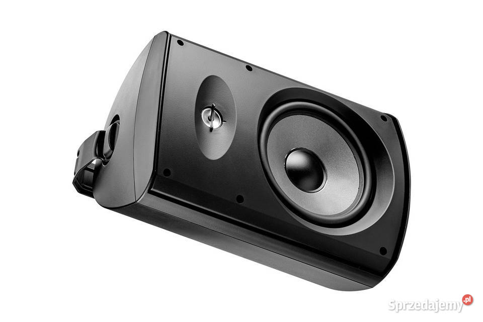 Focal 100 8 czarnybiały sztukę świętokrzyskie Kielce