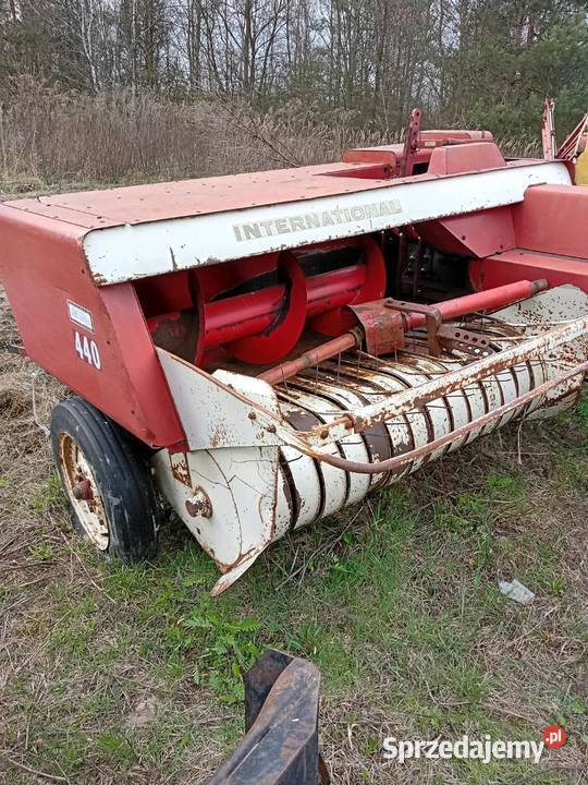 Sprzedam prase kostke Rolnictwo Skronina