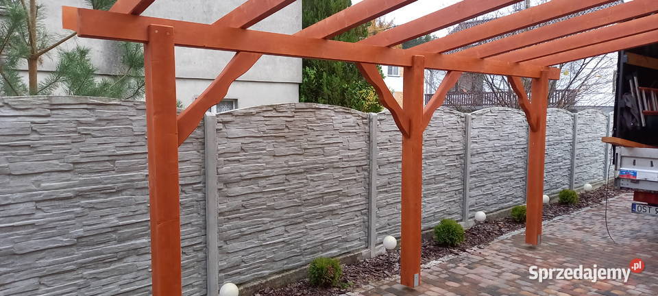 kantówki szkielet Błotnica Strzelecka