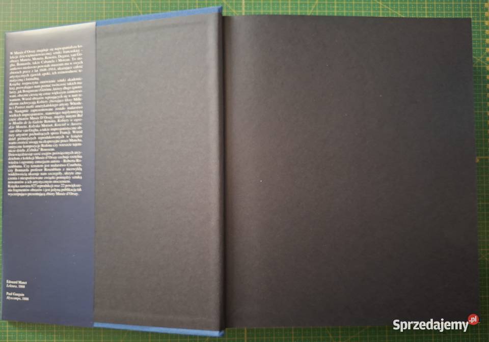 Arcydzieła malarstwa R Rosenblum Musee DOrsay Książki naukowe i popularnonaukowe Kraków