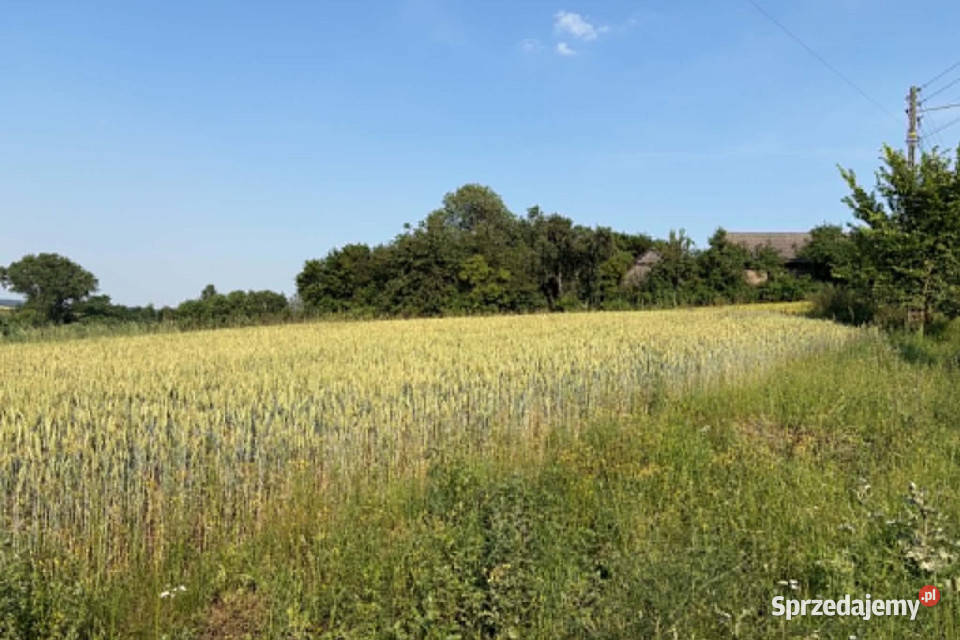 Działka z WZ na sprzedaż Dodów Gm Radziemice małopolskie