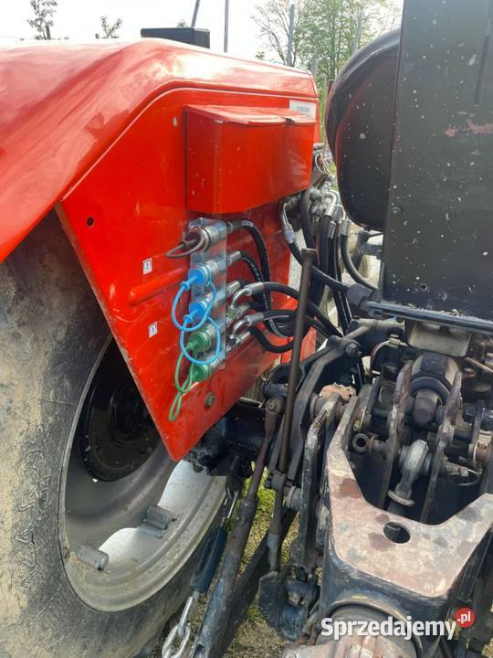 Zetor 8145 Zetor Sieradz
