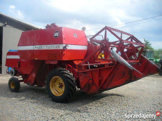 kombajn massey ferguson 186 Trzetrzewina