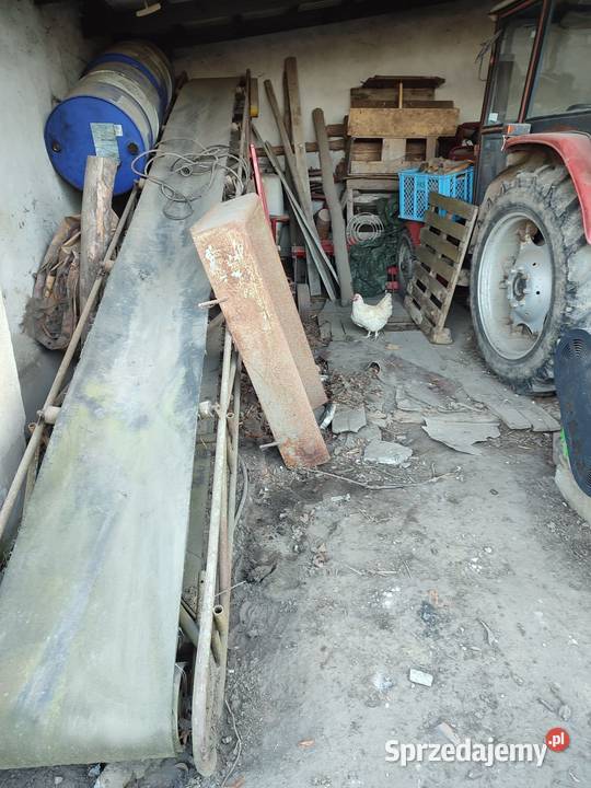 Przenośnik taśmowy 6m szerokość taśmy 50 stan Orchowo