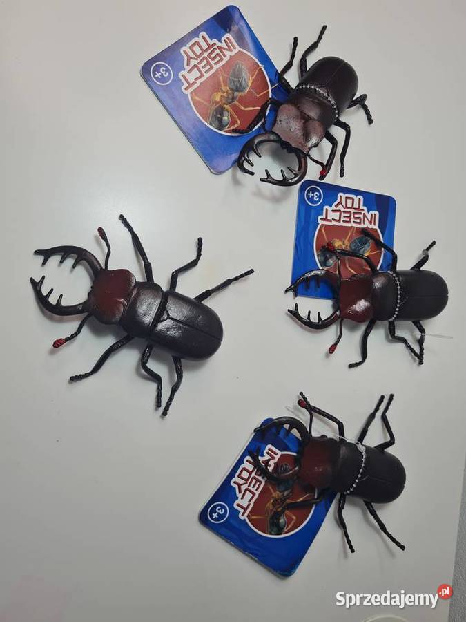 Insect Toy Chrząszcz 12 Krasne-Lasocice sprzedam