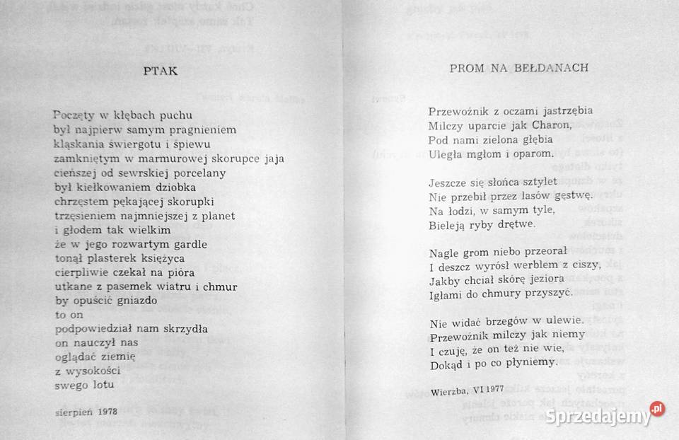 Trzy struny Igor Sikirycki Chełm sprzedam