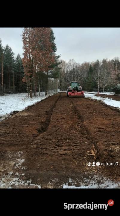 Wycinka drzew Czyszczenie działek Mulczowanie śląskie Myszków