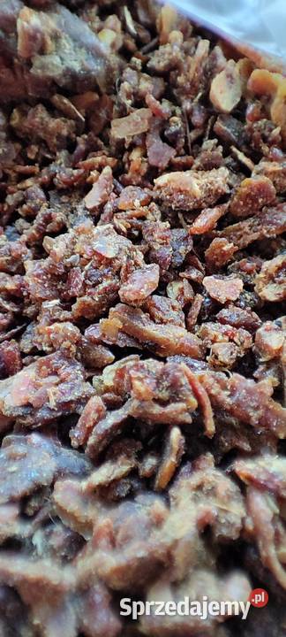 Kit pszczeli propolis lek nalewka Usnarz Górny