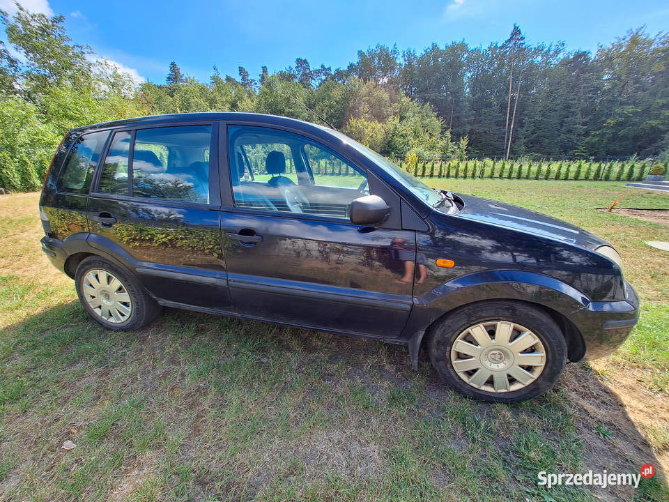 Ford Fusion 14 TDCi Ambiente 2004 Łask sprzedam