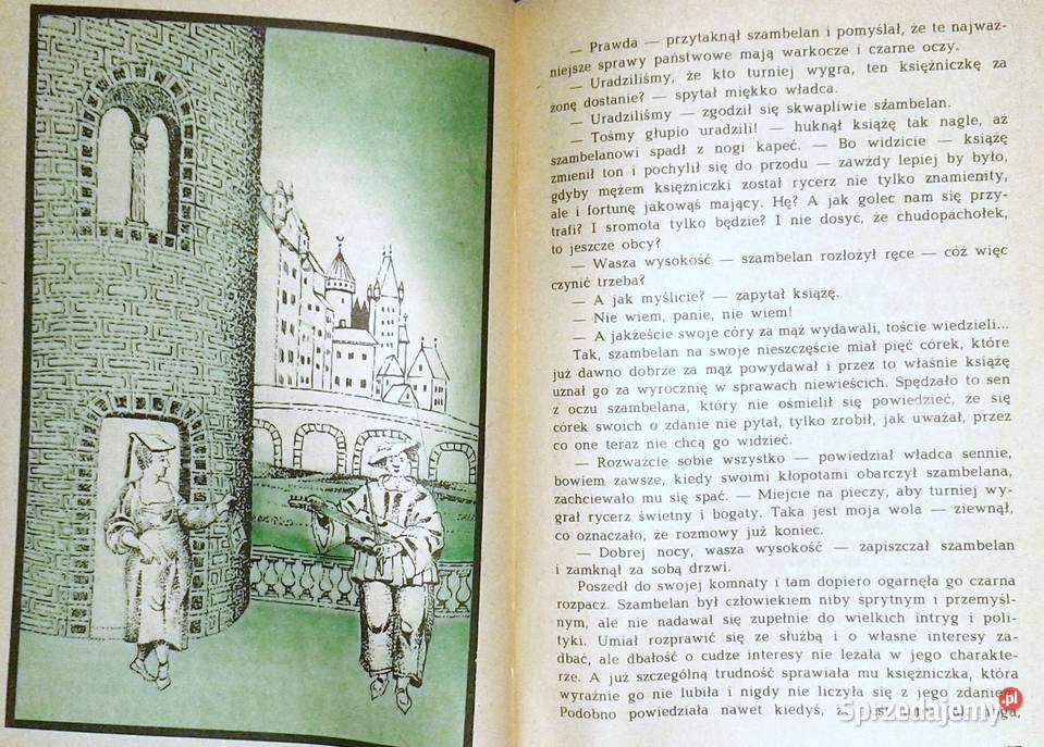 Mechaniczny Rycerz Anna Lewkowska