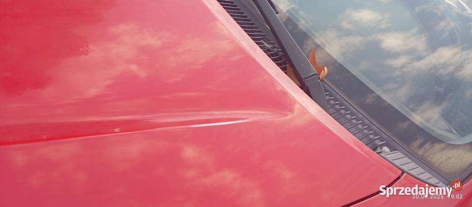 syndyk sprzeda samochód Toyota Paseo produkcji Radom