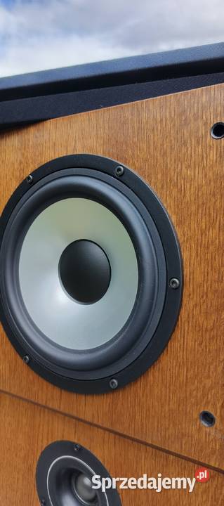 Dynaudio MSP 200 Kolumny muzyczne hifi dolnośląskie Jelenia Góra