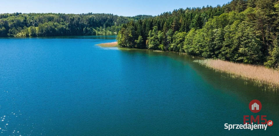 Ogłoszenie działka 3000m2 Nowe Krzywe sprzedam