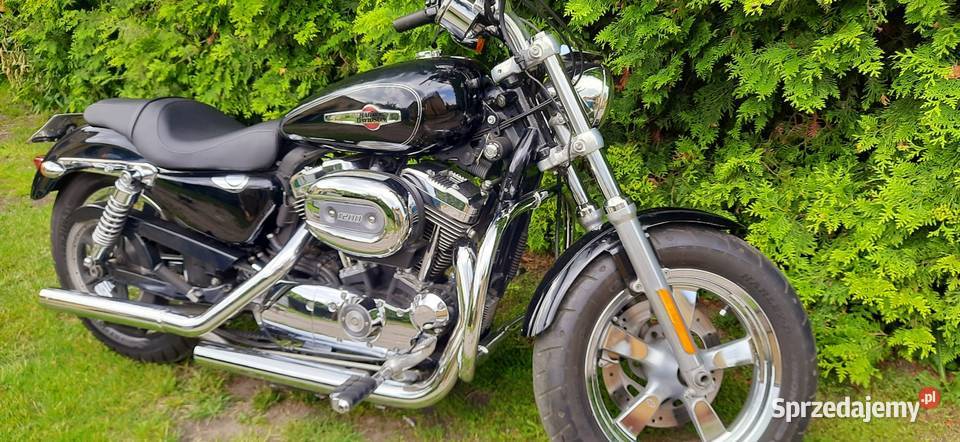 Harley Davidson Sportster XL 1200 customsprzedam Żnin