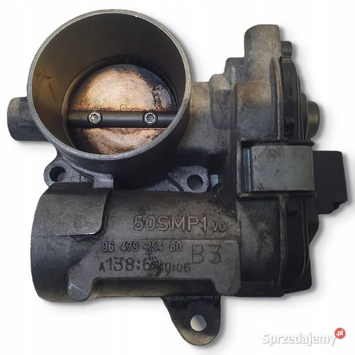 PRZEPUSTNICA Peugeot 207 14 16V 9647925480 osobowe Chełm