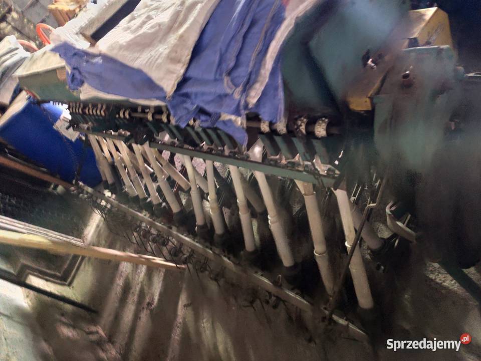 Siewnik poznaniak nieuszkodzony