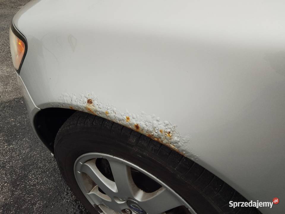 Volvo V50 Domaszowice