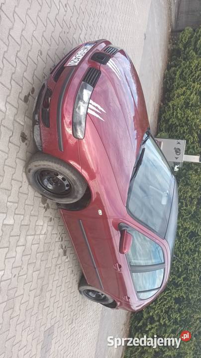 Seat leon bordowy warmińsko-mazurskie Iława