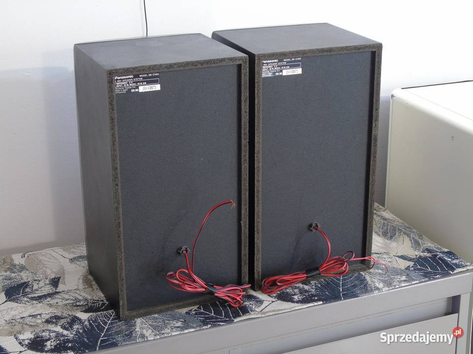 Kolumny Panasonic SBCH80 mocne i sprawne DOSTAWA podkarpackie Jasło sprzedam