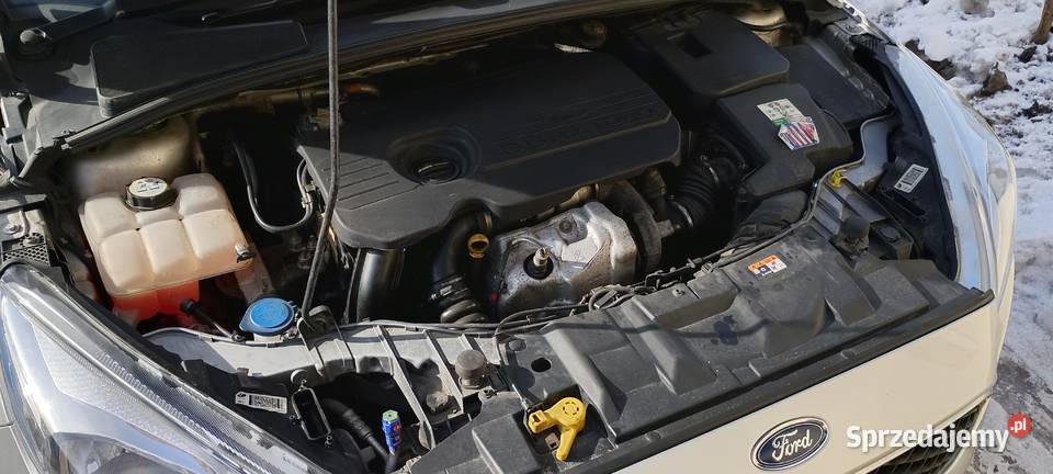 Ford Focus Kombi 2017 15 TDCi 120 301 500 serwis Wąbrzeźno