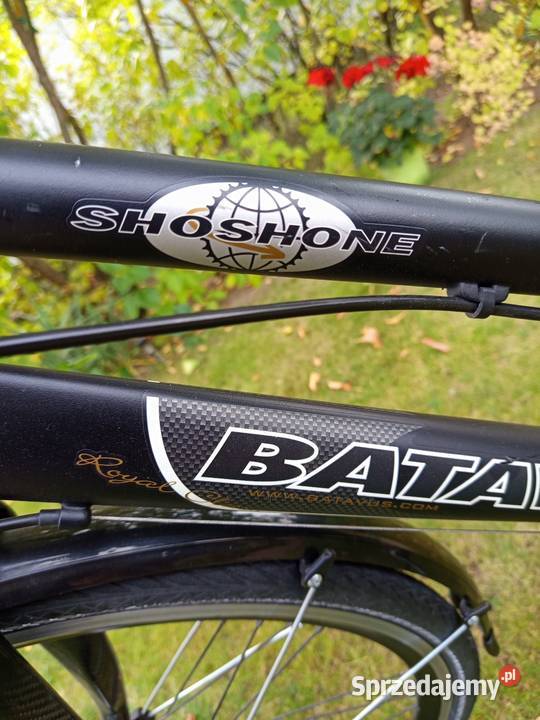 Rower Batavus Shoshone Royal Class Alu karbonowy Warszawa