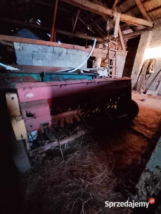 Siewnikbrony maska pomorskie Wysoka Zaborska