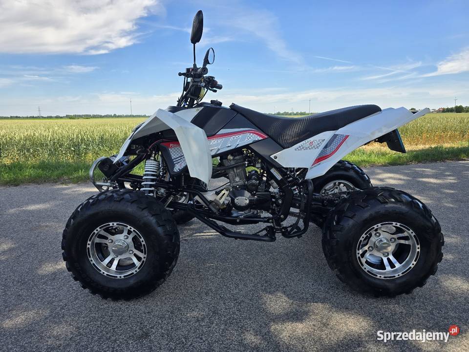 Quad Egl Mad 250cc kat B 2014r ciecz duża rama Kruszwica