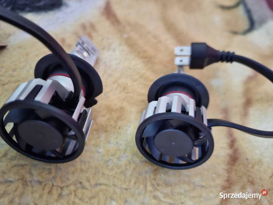 Żarówki samochodowe H7 Led Philips Pozostałe Toruń