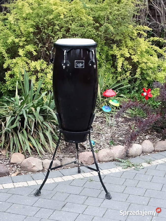Conga Schalloch Percussion 11 34 Statyw Wys 110 Biłgoraj