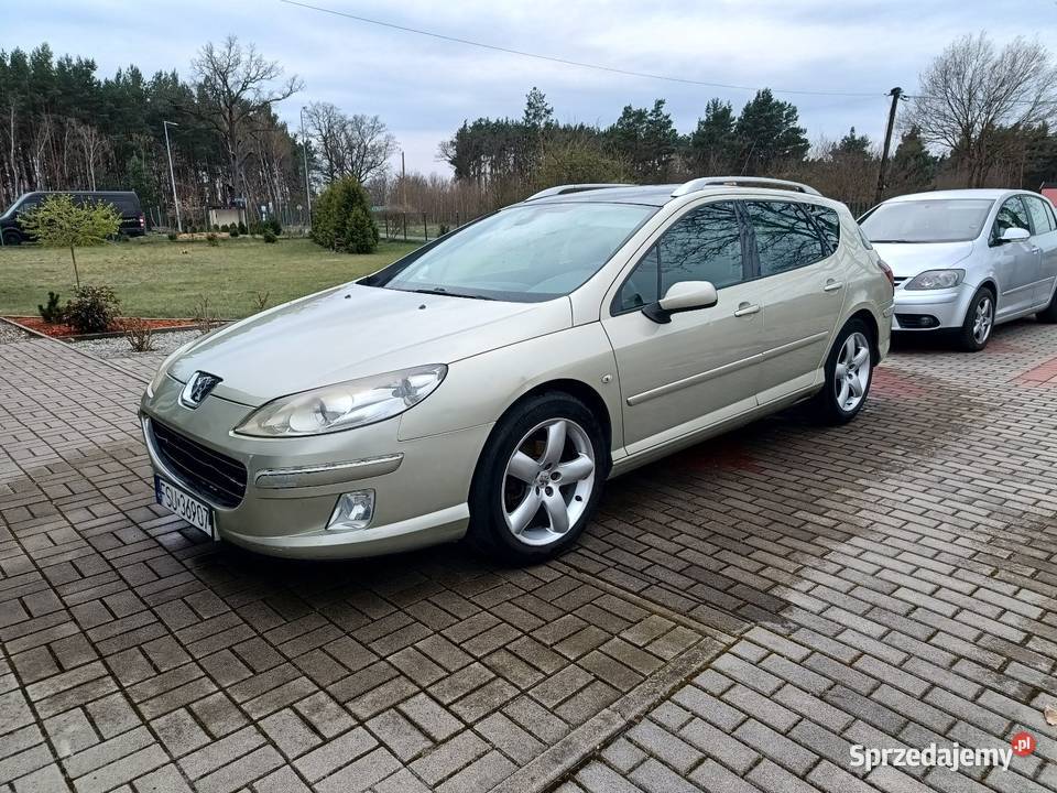 Peugeot 407 złoty