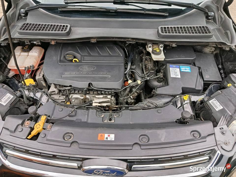 Kuga 15 Ecooboost 2015 Serwisowany ASO 062026 pierwszy właściciel pomorskie