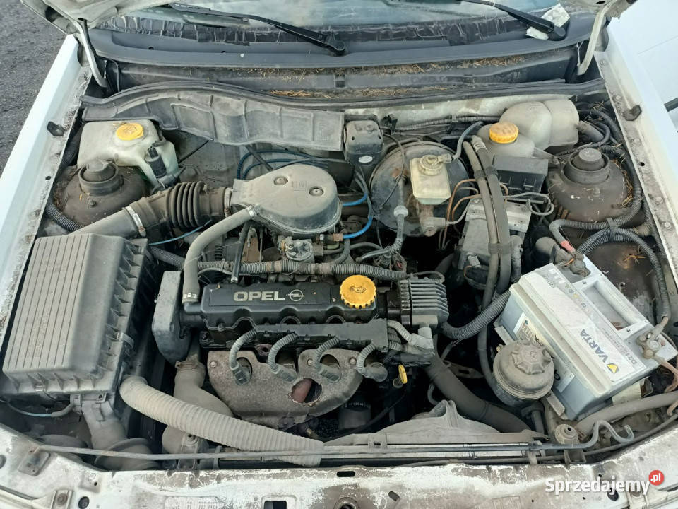 Opel Astra Opel Astra 16 99r F 19912002