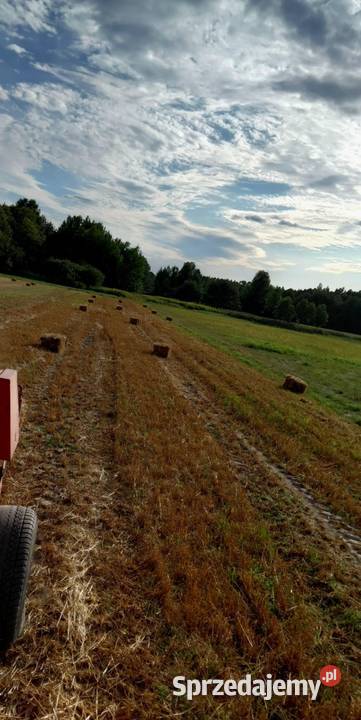 Słoma w kostkach owsiana pszenżytnia żytnia lubelskie sprzedam