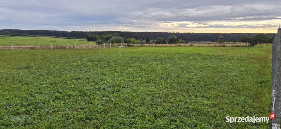 Wyjątkowa działka 3200 m z Warunkami Zabudowy sprzedam