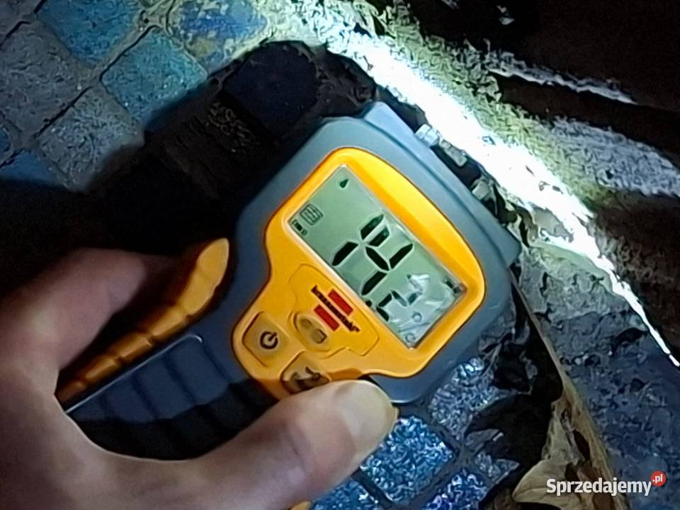 Wykrycie wilgoci pleśni grzyba pomiary Kamieniec Wrocław