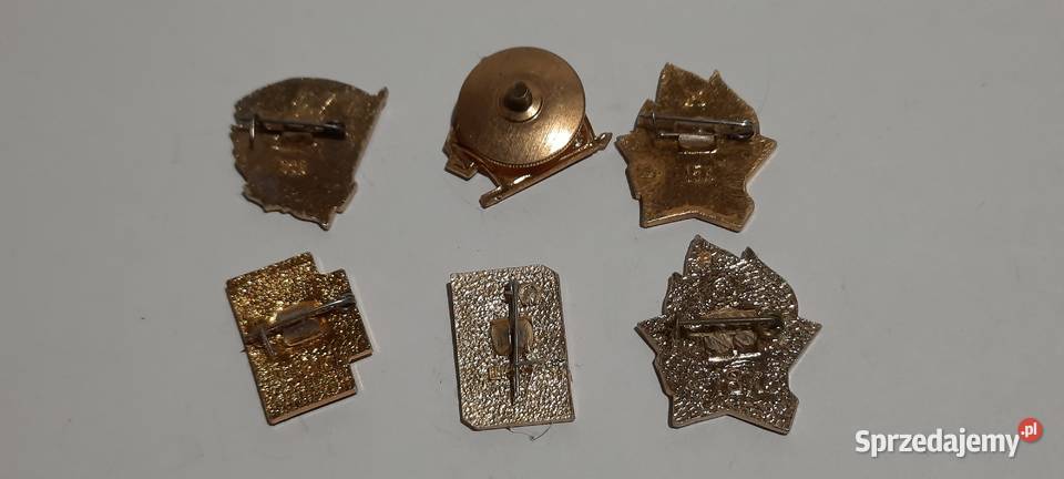 odznaki przypinki 0516 Warszawa