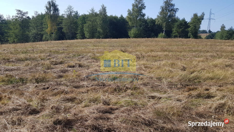 Działka 212 ha jeziorze Drawskim zachodniopomorskie